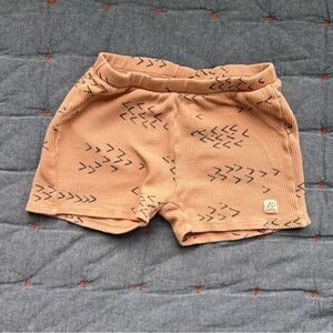Zara shorts